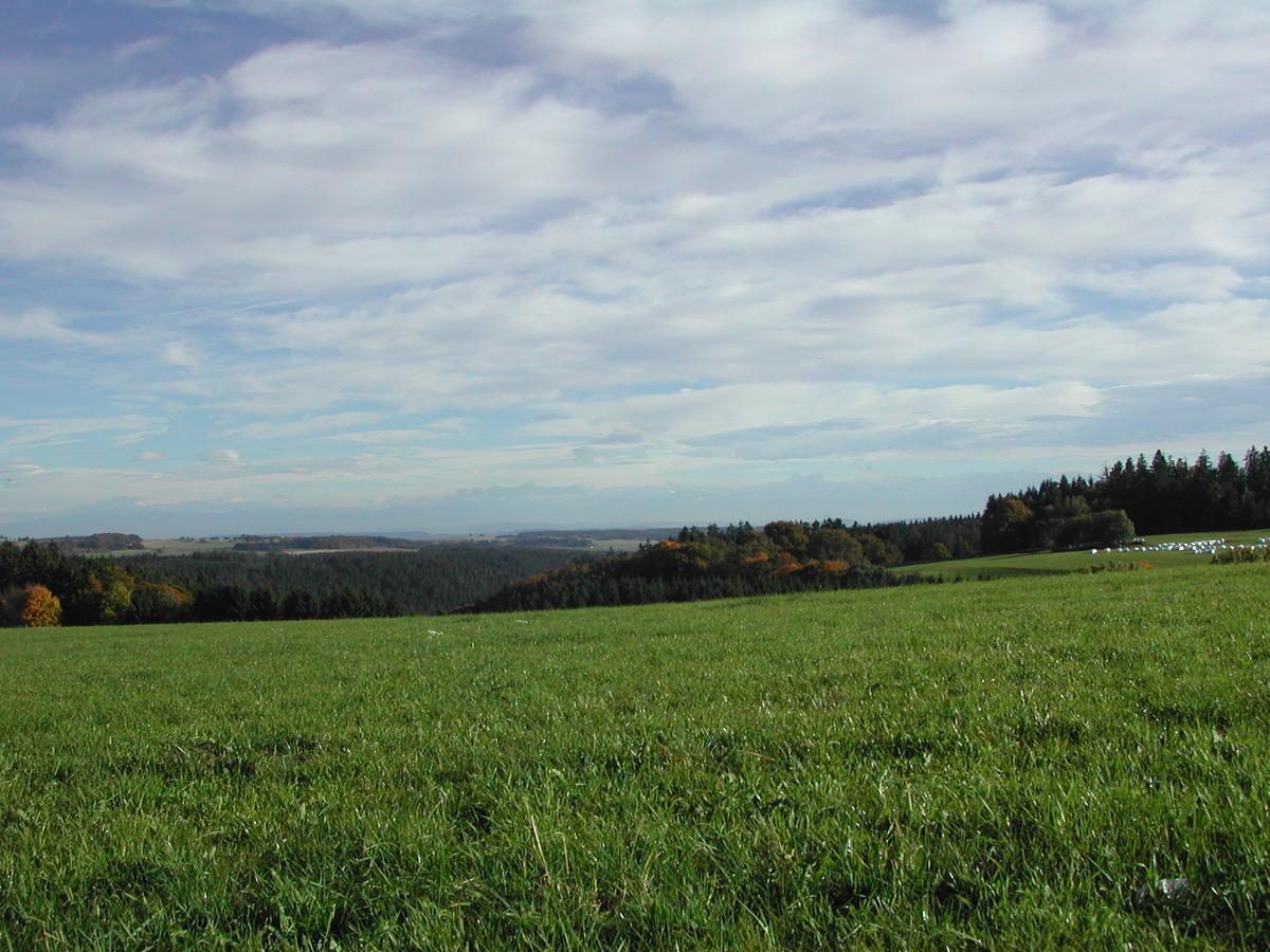 Gasthaus-Pension Zum Kreuz Stuhlingen Buitenkant foto